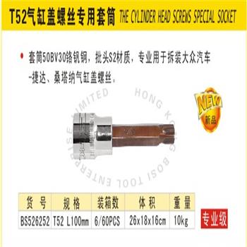˹T52׸˿רͲ